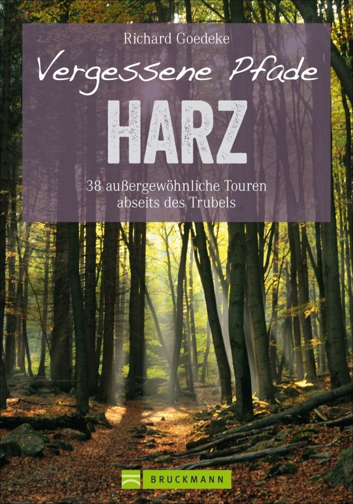 Vergessene Pfade im Harz (Richard Goedeke)