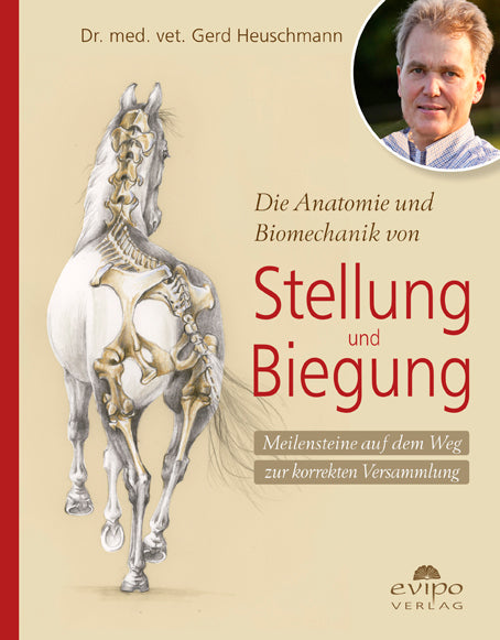 Die Anatomie und Biomechanik von Stellung und Biegung (Gerd Heuschmann)