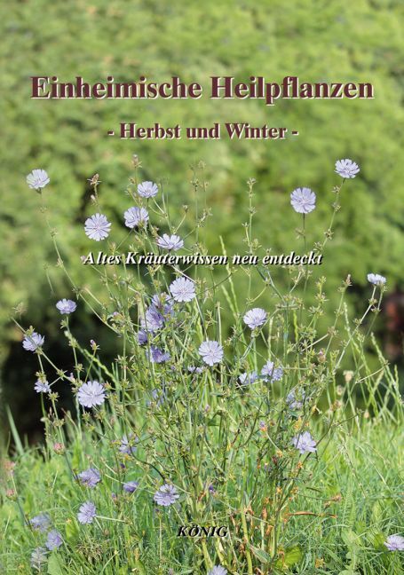 Einheimische Heilpflanzen - Herbst und Winter (Gerd E. König)