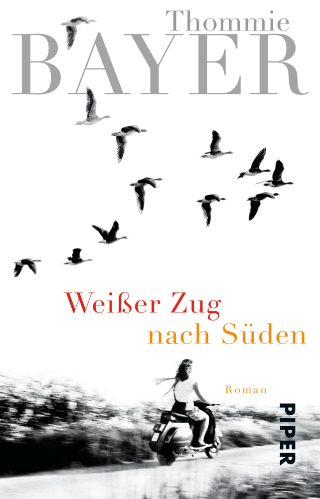 Weißer Zug nach Süden (Thommie Bayer)