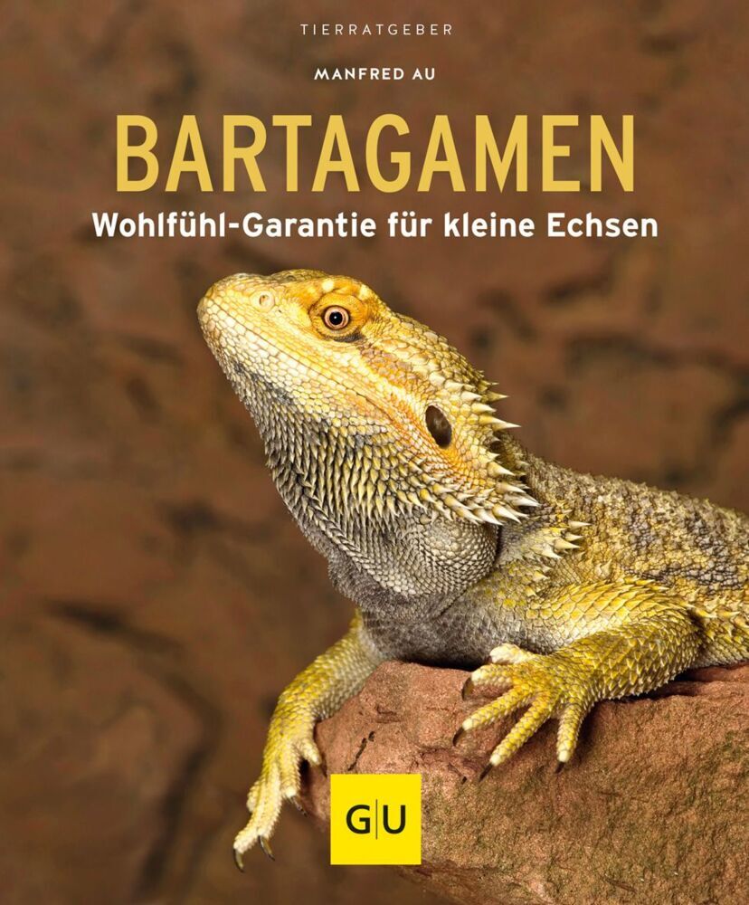 Bartagamen (Manfred Au)