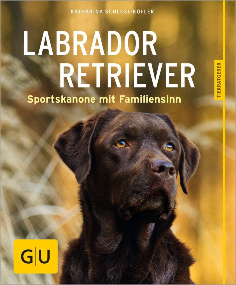 Labrador Retriever (Katharina Schlegl-Kofler)