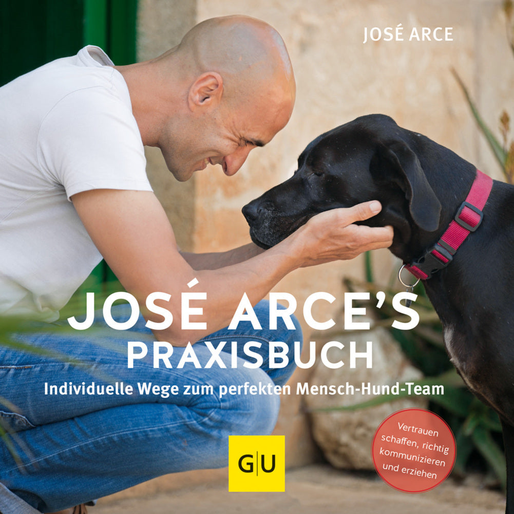 José Arce's Praxisbuch (José Arce)