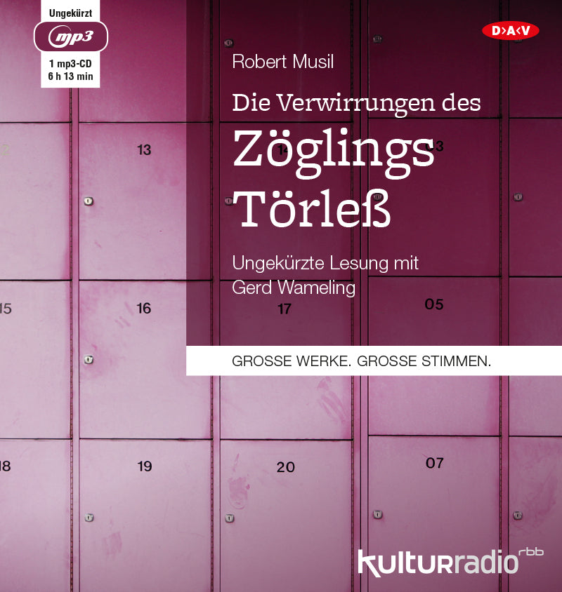 Die Verwirrungen des Zöglings Törleß, 1 Audio-CD, 1 MP3 (Robert Musil)