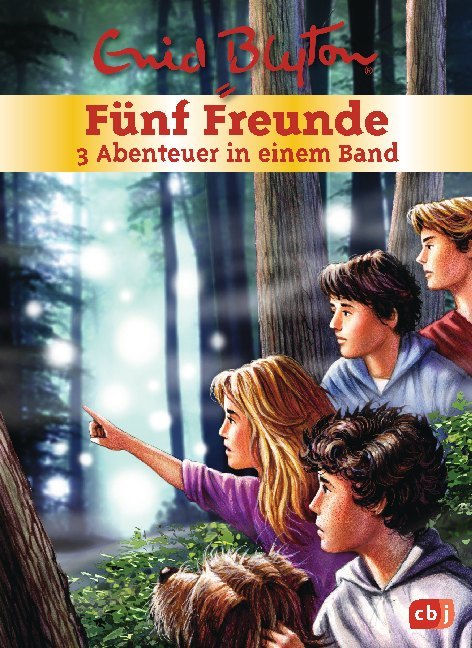 Fünf Freunde - 3 Abenteuer in einem Band (Enid Blyton)