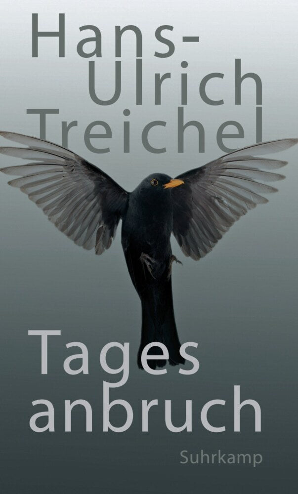 Tagesanbruch (Hans-Ulrich Treichel)