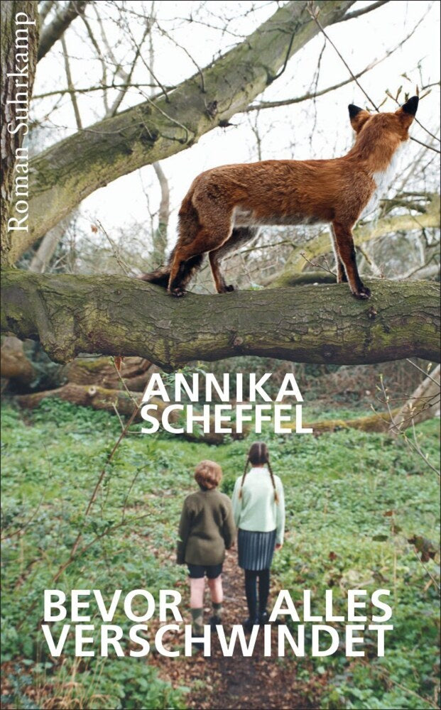 Bevor alles verschwindet (Annika Scheffel)