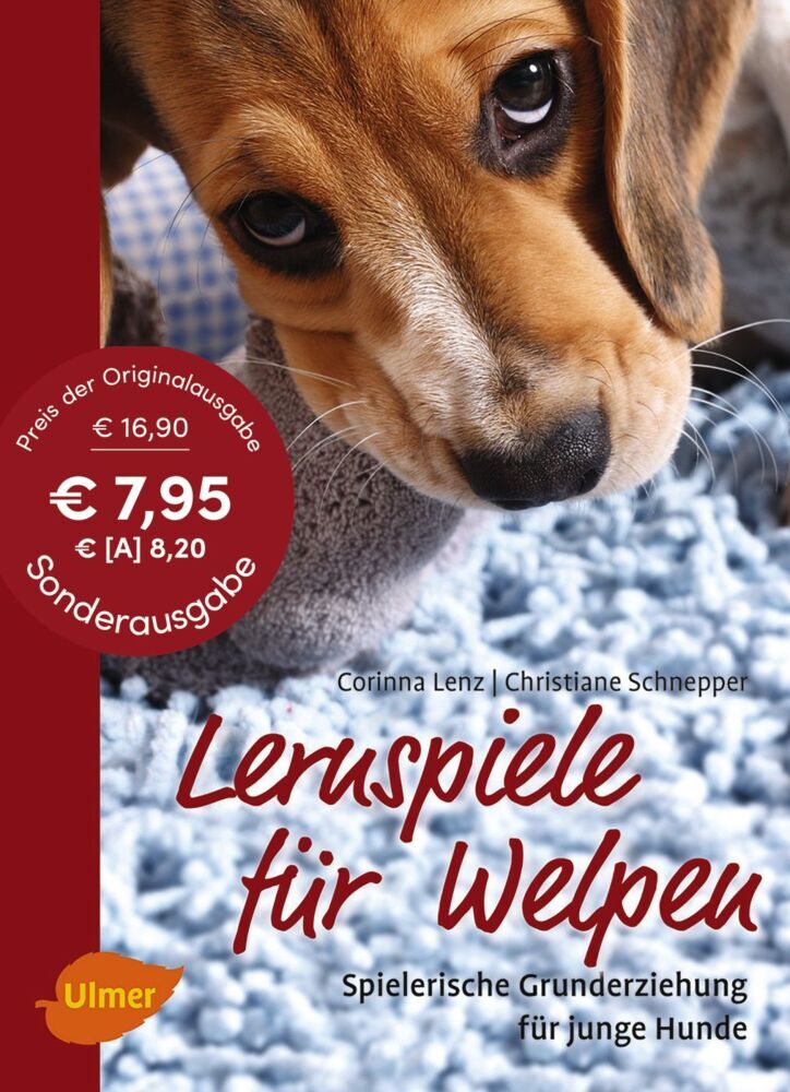 Lernspiele für Welpen (Corinna Lenz)