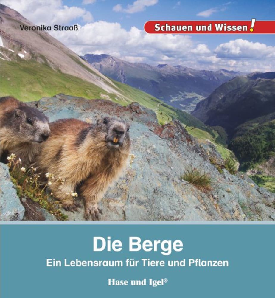 Die Berge (Veronika Straaß)