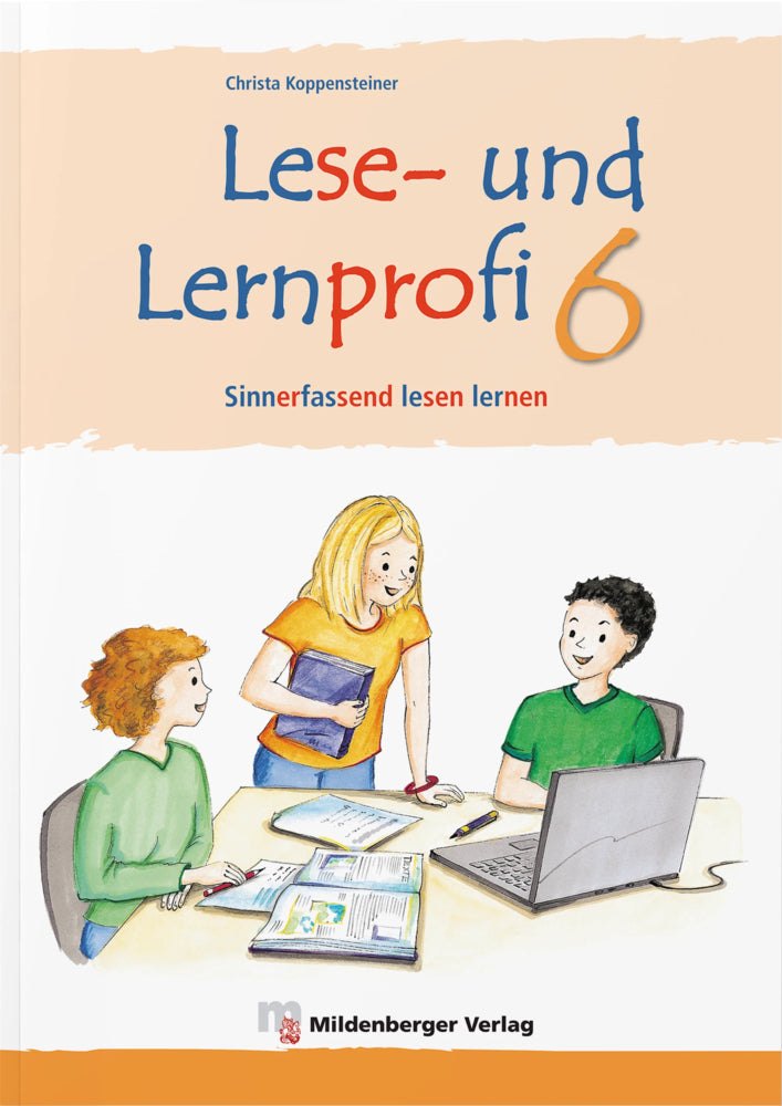 Lese- und Lernprofi 6 - Arbeitsheft - silbierte Ausgabe