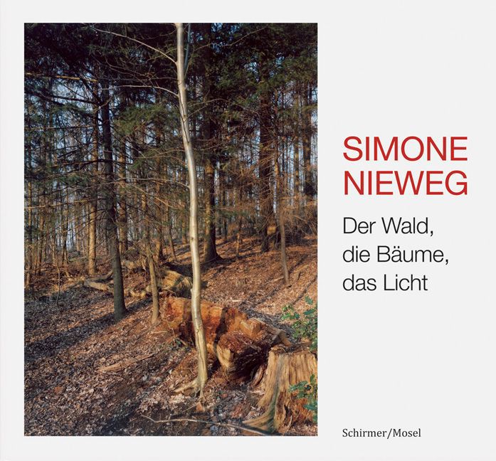 Der Wald, die Bäume, das Licht (Simone Nieweg)