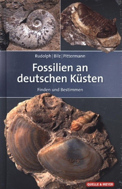 Fossilien an deutschen Küsten (Frank Rudolph)