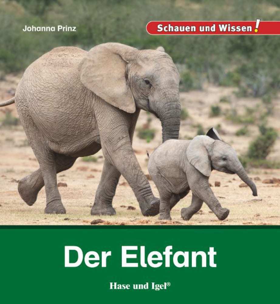 Der Elefant (Johanna Prinz)
