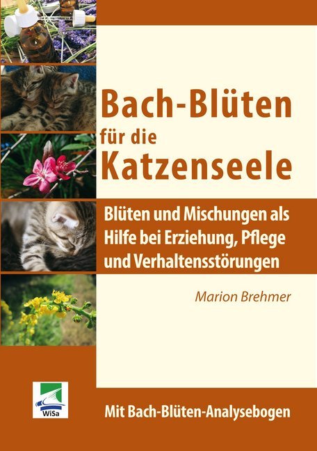 Bach-Blüten für die Katzenseele (Marion Brehmer)