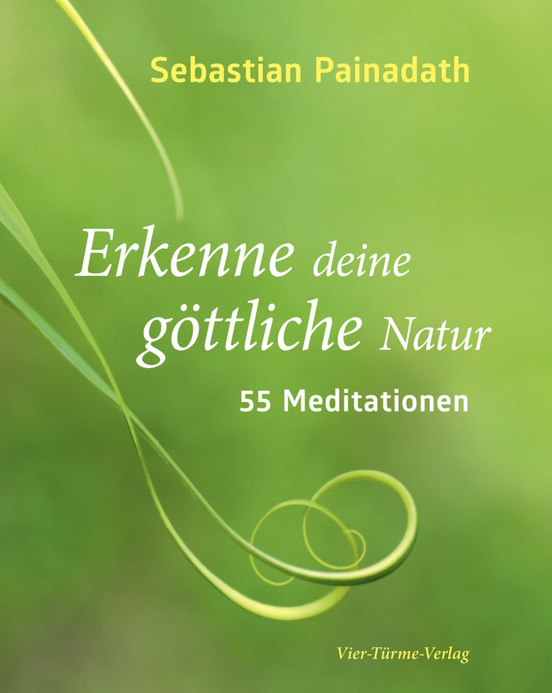 Erkenne deine göttliche Natur (Sebastian Painadath)