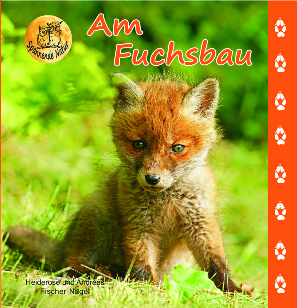 Am Fuchsbau (Heiderose Fischer-Nagel)