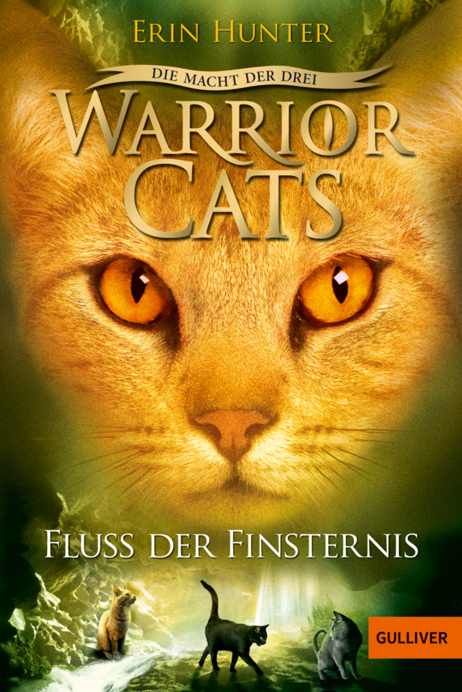 Warrior Cats, Die Macht der drei, Fluss der Finsternis (Erin Hunter)