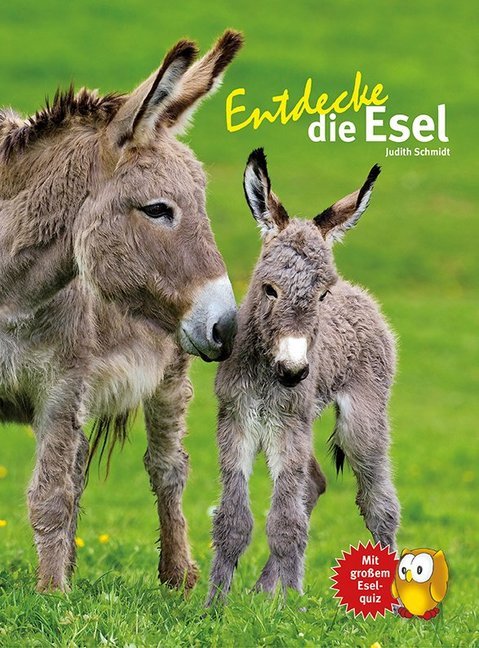 Entdecke die Esel (Judith Schmidt)