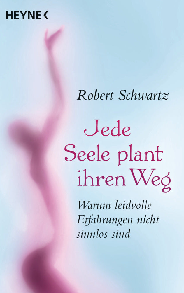 Jede Seele plant ihren Weg (Robert Schwartz)