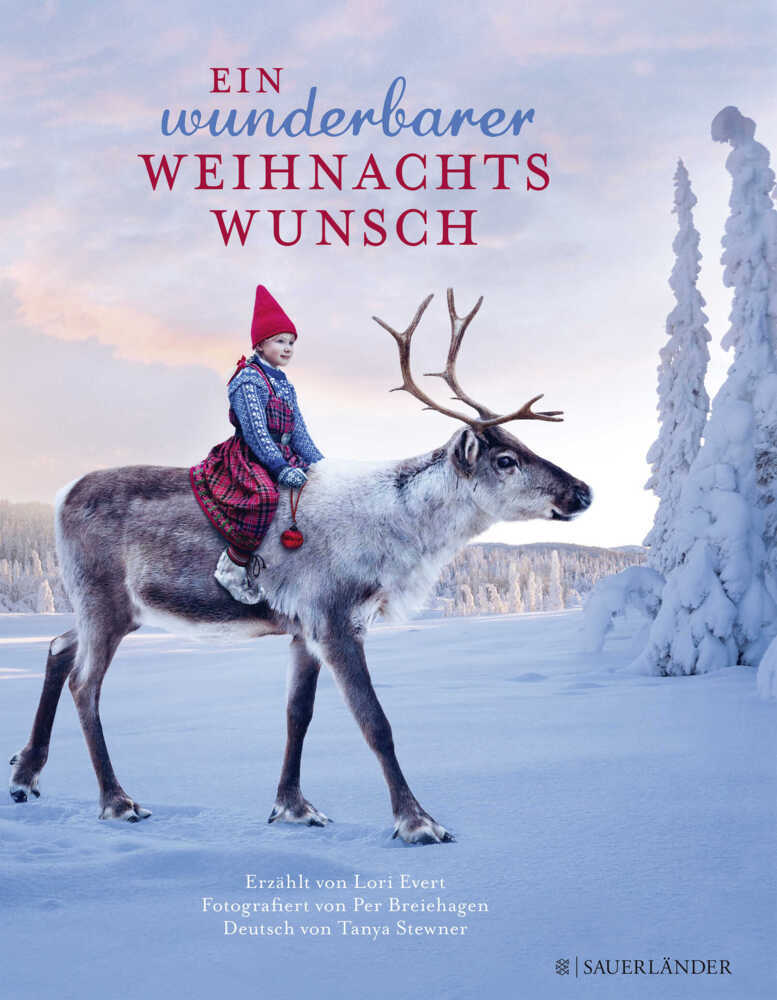 Ein wunderbarer Weihnachtswunsch (Lori Evert)