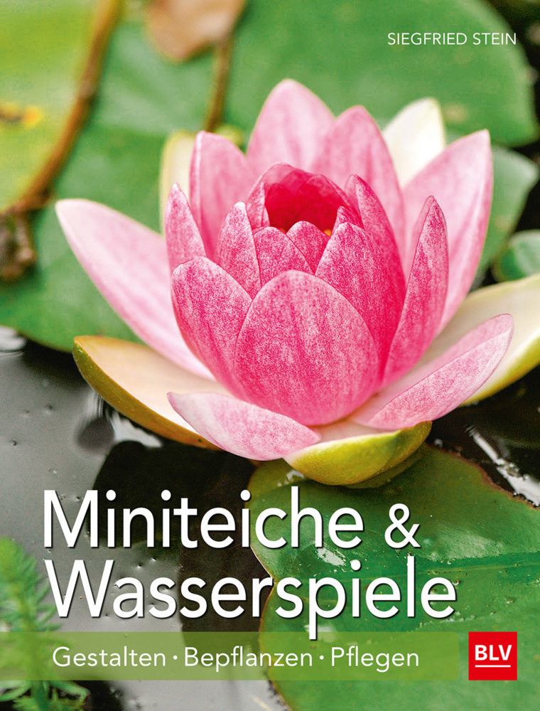 Miniteiche und Wasserspiele (Siegfried Stein)