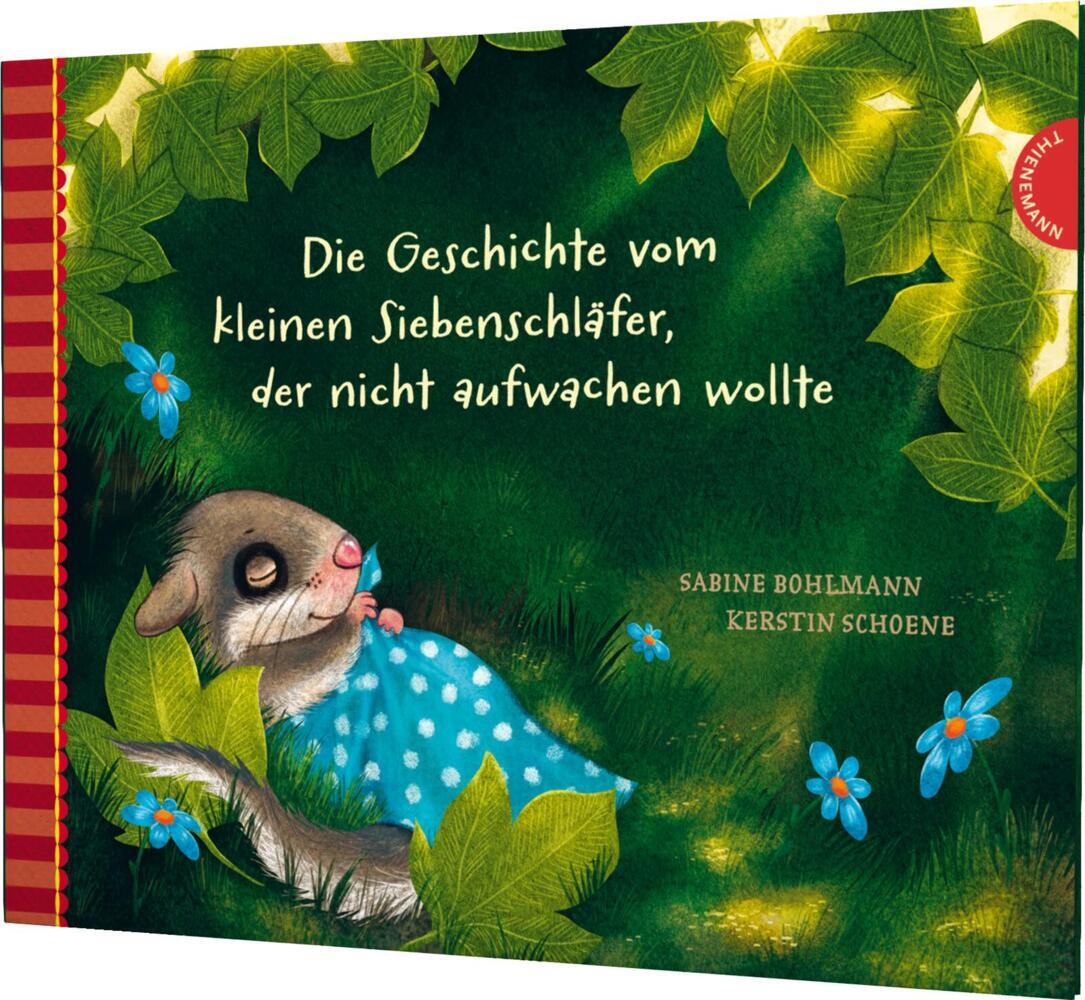 Der kleine Siebenschläfer 2: Die Geschichte vom kleinen Siebenschläfer, der nicht aufwachen wollte (Sabine Bohlmann)