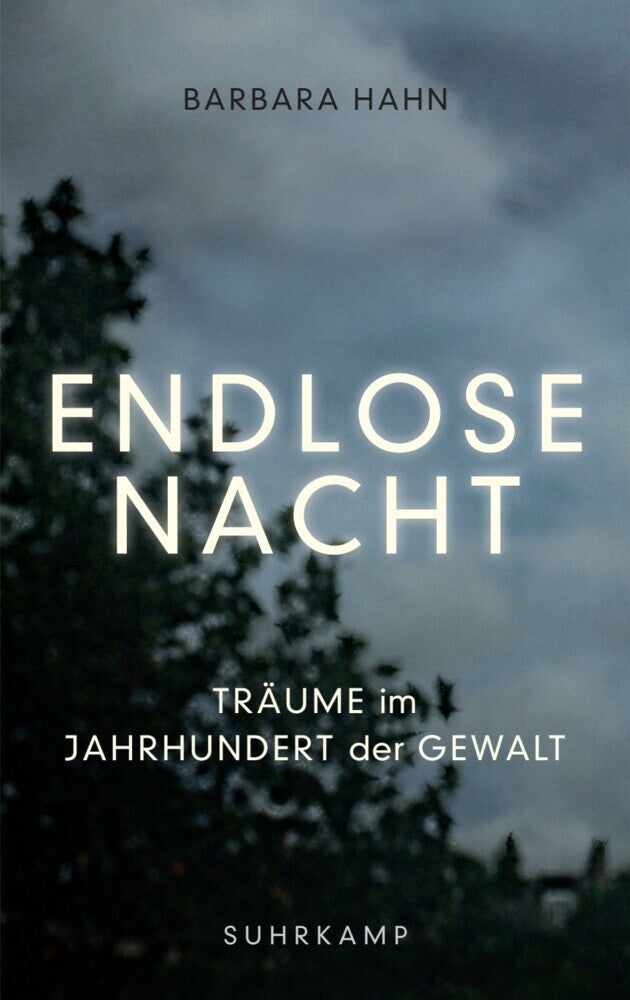 Endlose Nacht (Barbara Hahn)