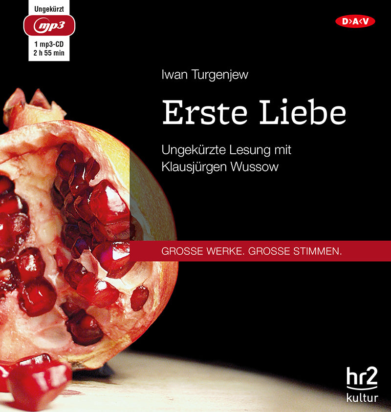 Erste Liebe, 1 Audio-CD, 1 MP3 (Iwan S. Turgenjew)