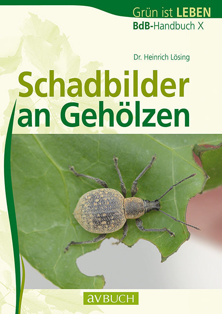 Schadbilder an Gehölzen (Heinrich Lösing)