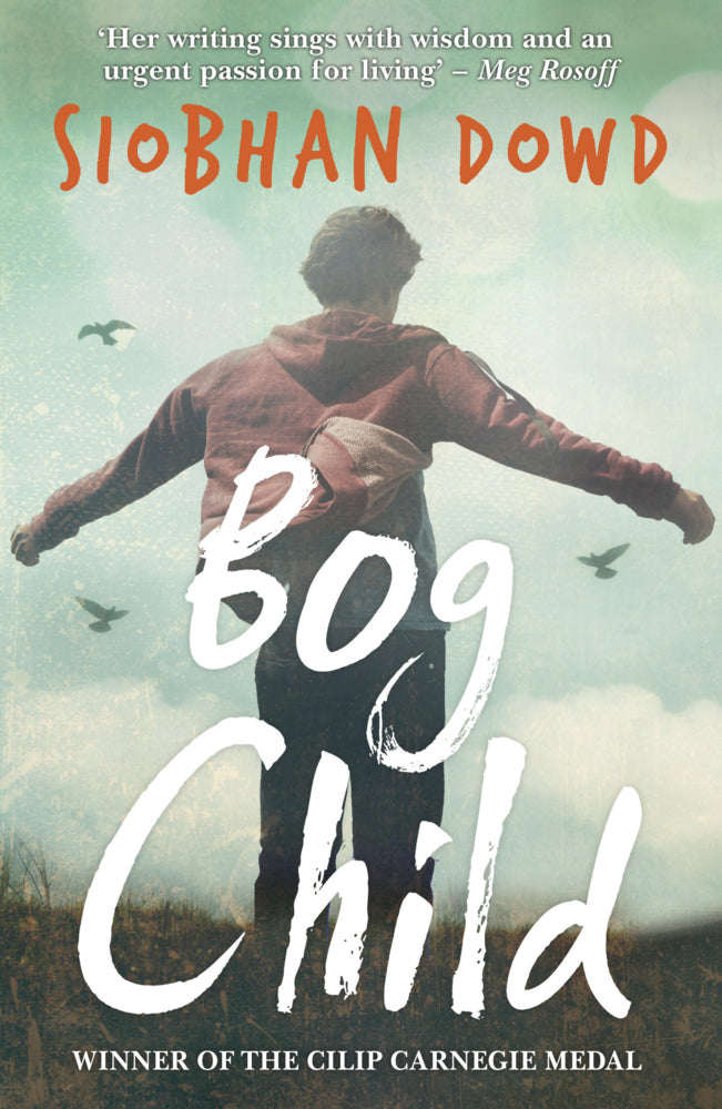 Bog Child (Siobhan Dowd)