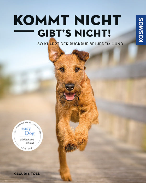 Kommt nicht, gibts nicht (Claudia Toll)