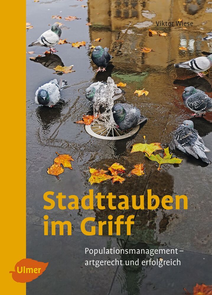 Stadttauben im Griff (Viktor Wiese)