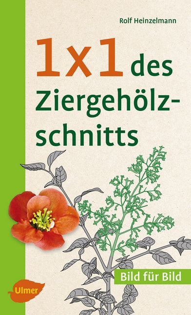1 x 1 des Ziergehölzschnitts (Rolf Heinzelmann)