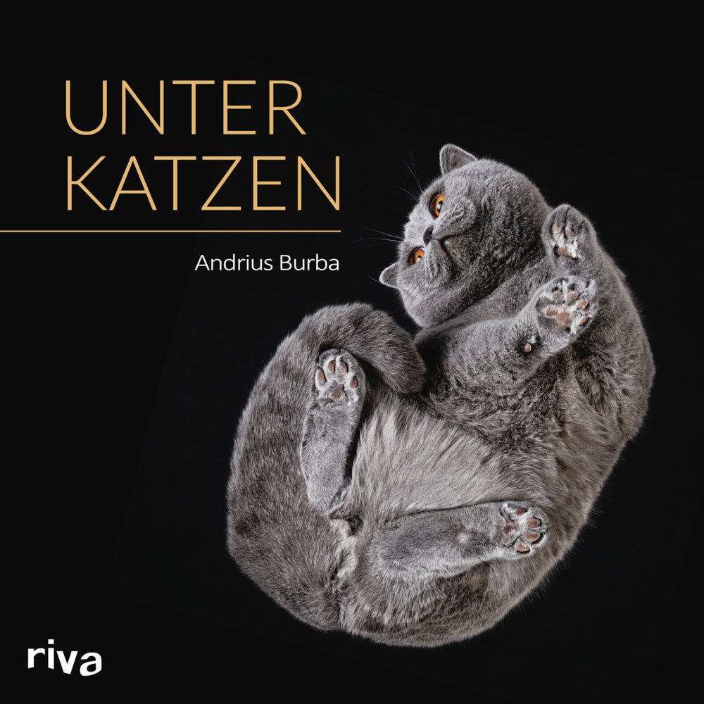 Unter Katzen (Andrius Burba)