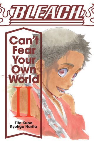 Bleach: Can't Fear Your Own World, Vol. 2 (Ryohgo Narita)