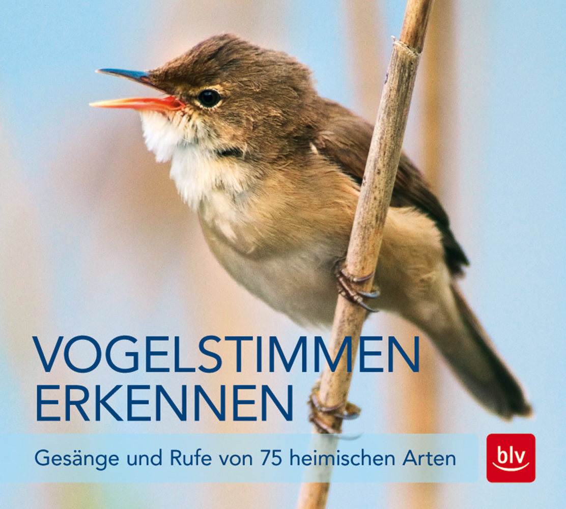Vogelstimmen erkennen, Audio-CD (Andreas Schulze)