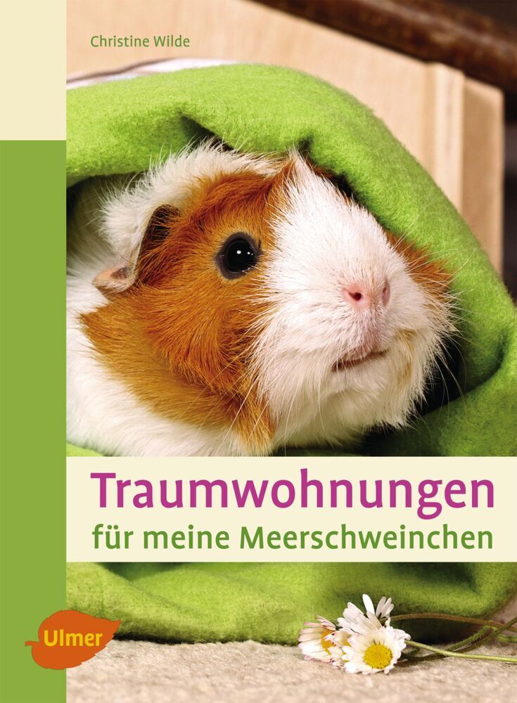 Traumwohnungen für meine Meerschweinchen (Christine Wilde)