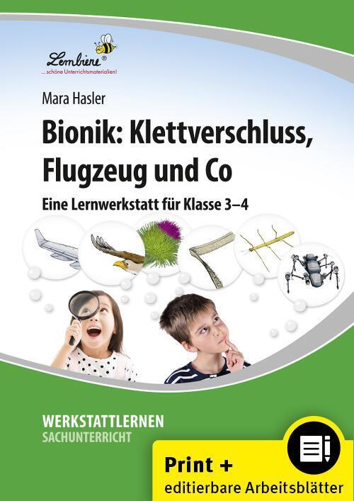 Bionik: Klettverschluss, Flugzeug und Co. (Mara Hasler)