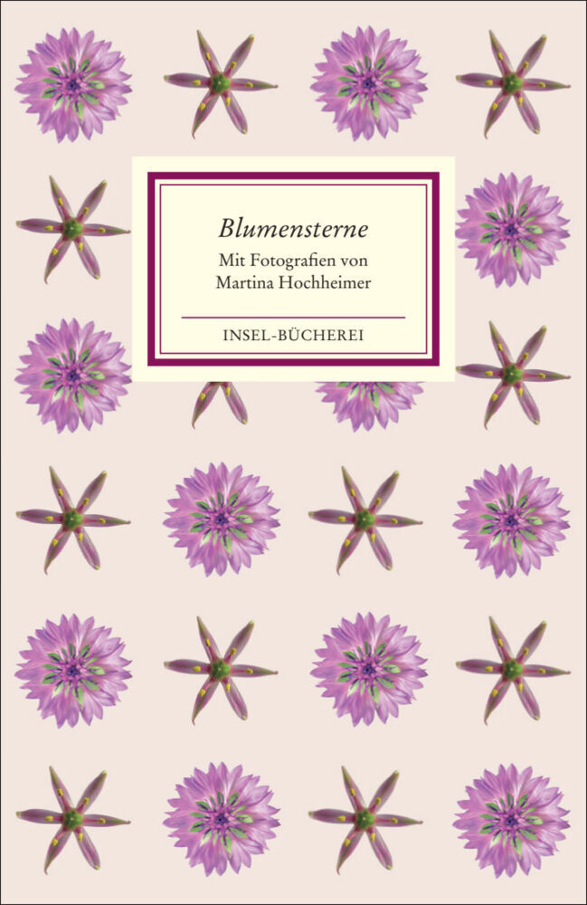 Blumensterne (Martina Hochheimer)