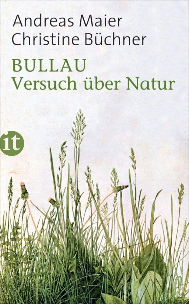 Bullau (Andreas Maier)