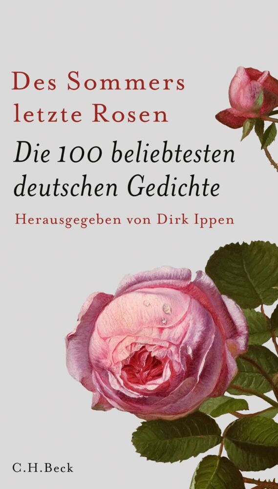 Des Sommers letzte Rosen (Dirk Ippen)