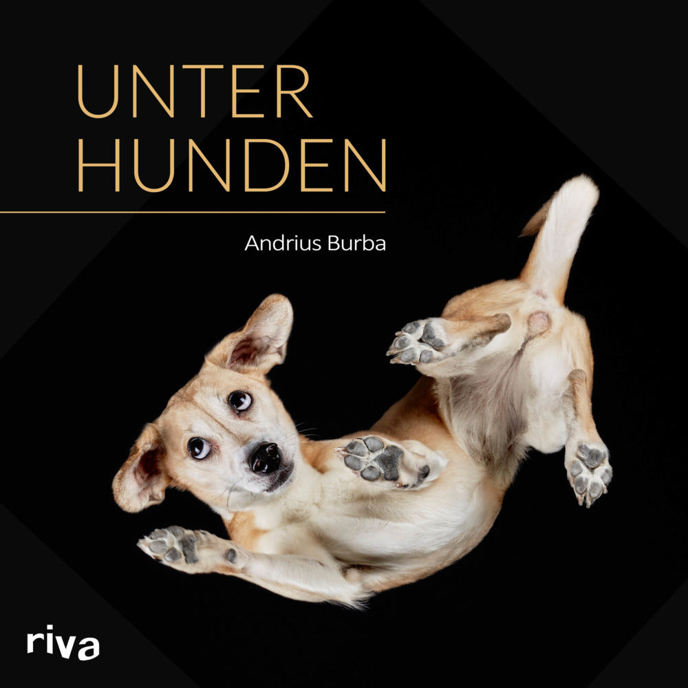 Unter Hunden (Andrius Burba)