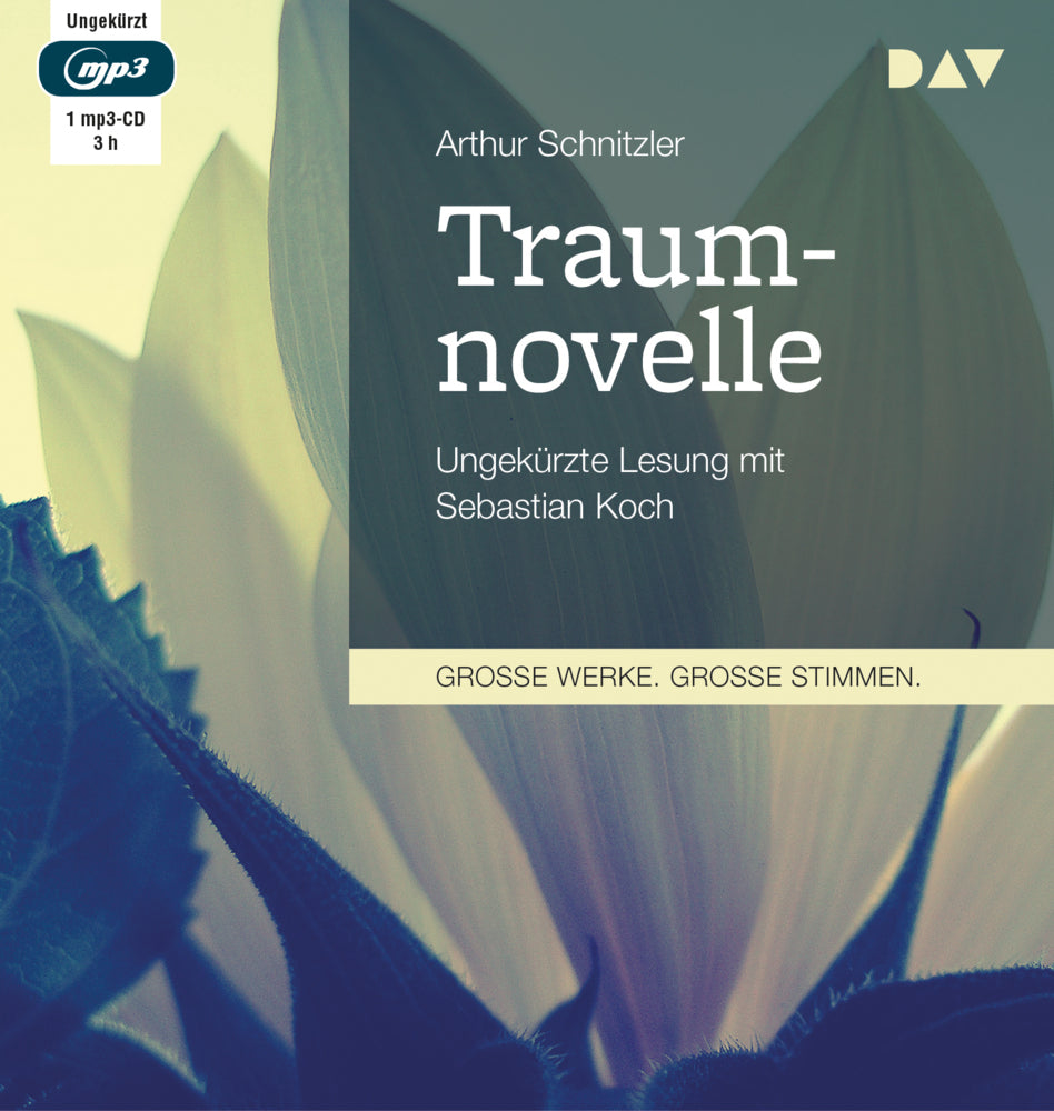 Traumnovelle, 1 Audio-CD, 1 MP3 (Arthur Schnitzler)