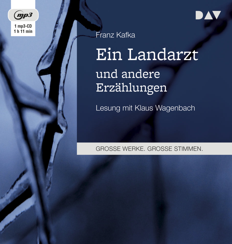 Ein Landarzt und andere Erzählungen, 1 Audio-CD, 1 MP3 (Franz Kafka)