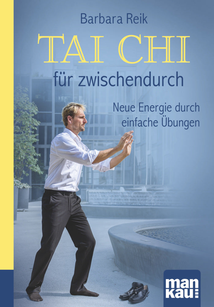 Tai Chi für zwischendurch (Barbara Reik)