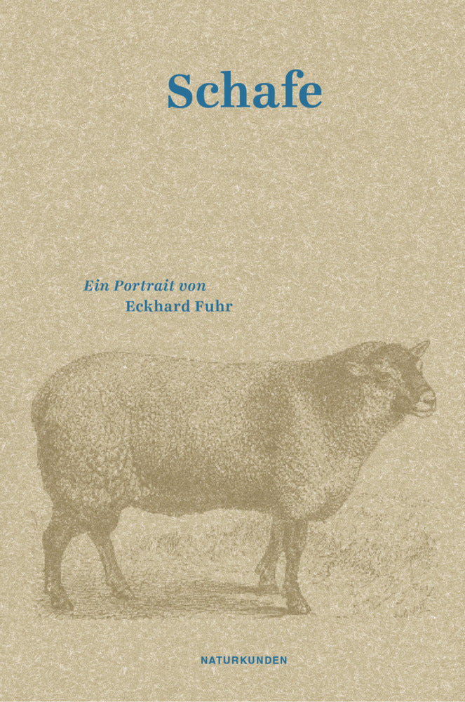 Schafe (Eckhard Fuhr)