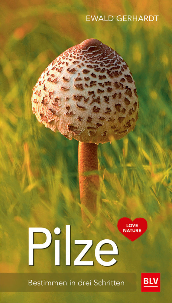Pilze (Ewald Gerhardt)