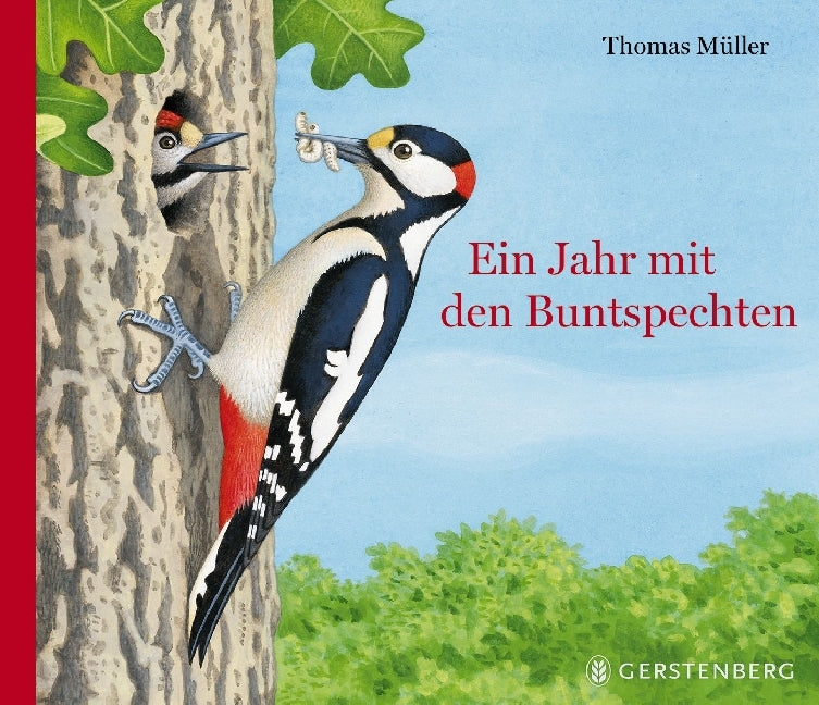 Ein Jahr mit den Buntspechten (Thomas Müller)