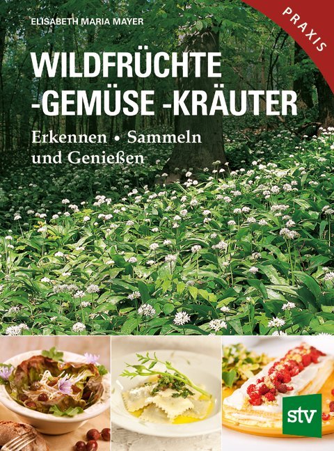 Wildfrüchte, -gemüse. -kräuter (Elisabeth Maria Mayer)