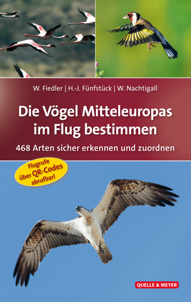 Die Vögel Mitteleuropas im Flug bestimmen (Wolfgang Fiedler)